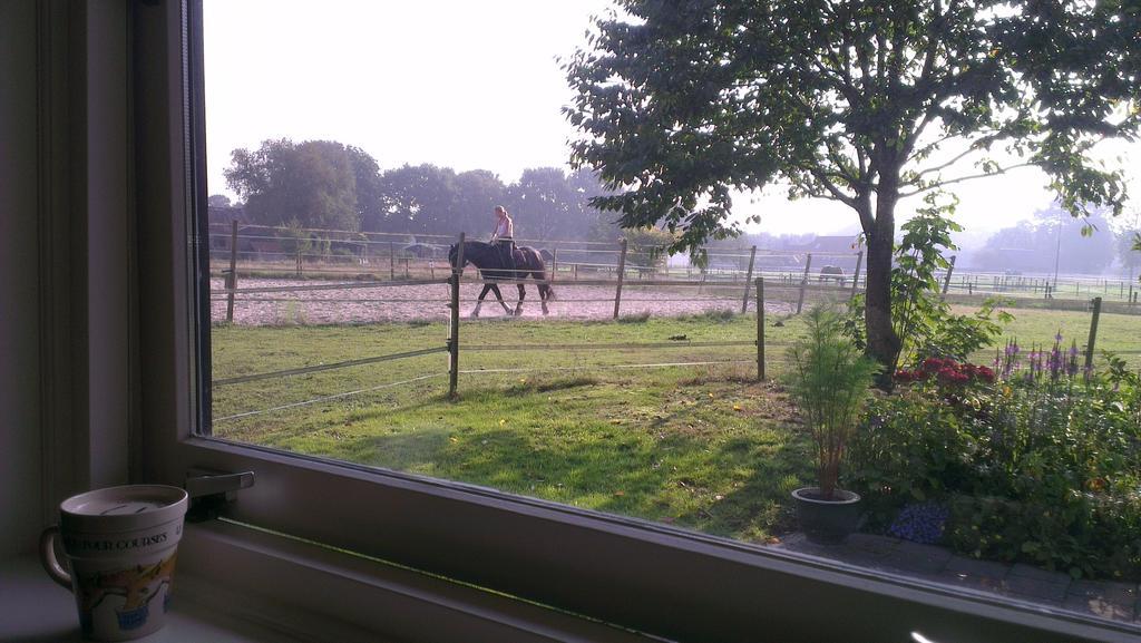Vakantiehuis "Aan De Zandweg" Roderesch Room photo